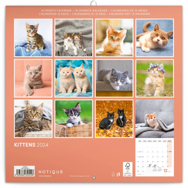 Kitten Calendar 2024