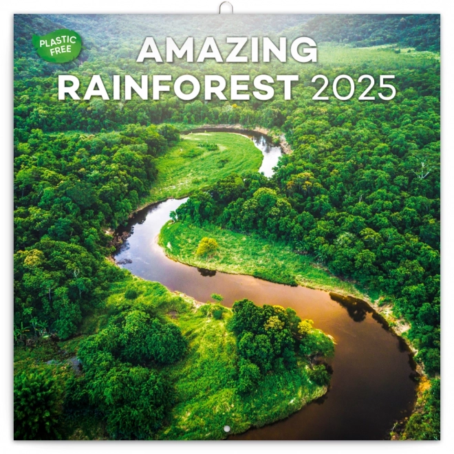 Rainforest Scenic Calendar 2025