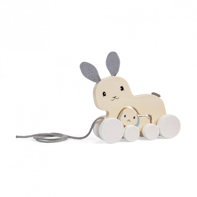 Pull Along Bunny with Baby by Bigjigs Toys