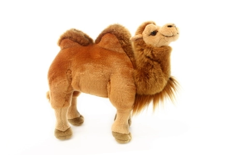 Plush Camel Toy