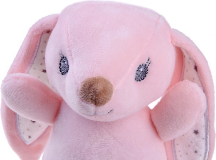 Mehak pliš in ljubka zasnova