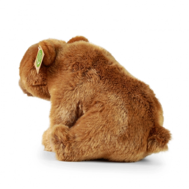 Eco-friendly plush grizzly bear 30cm