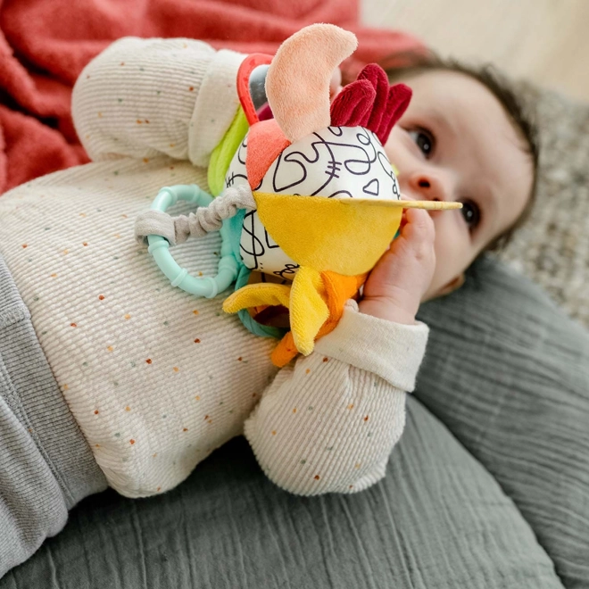 Colorful Sensory Ball Rattle