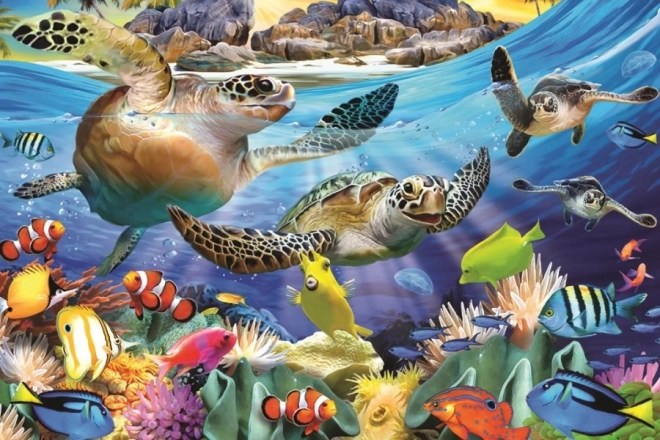 3D Turtle Puzzle