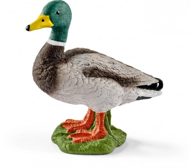 Schleich Farm World Duck Figurine