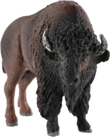 Ideální do sbírky i na učení