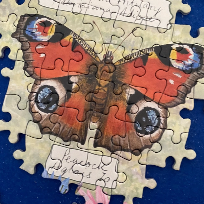 Gibsons Beautiful Butterflies Puzzle 1000 Pieces