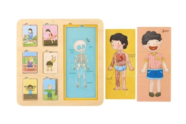 Wooden Human Body Puzzle