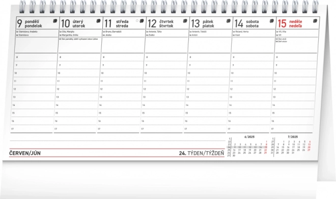 Notique planning desk calendar 2025