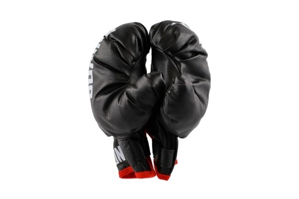 Kids Boxing Set with Focus Mitts and Gloves