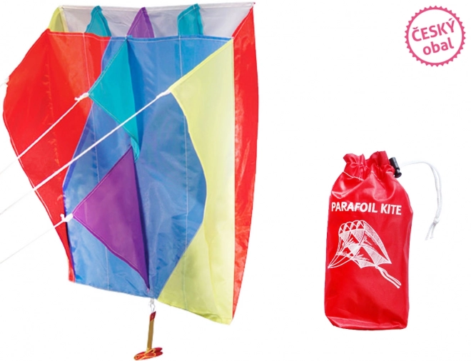 Colorful Flying Kite