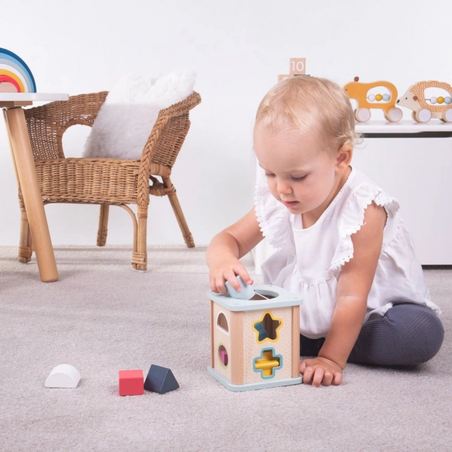 Bigjigs Toys Wooden Shape Sorter Cube