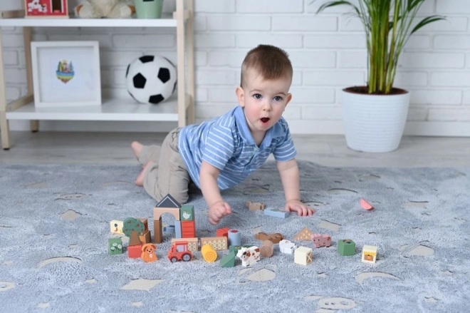 Wooden Adventure Farm Blocks