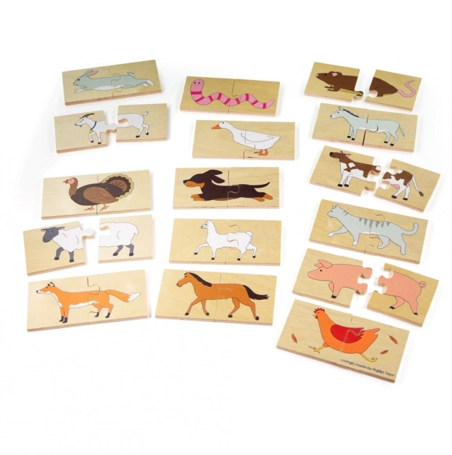 Bigjigs Toys Educational Animal Puzzle