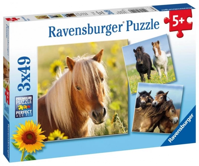 Ravensburger Puzzle Horses 3x49 Pieces