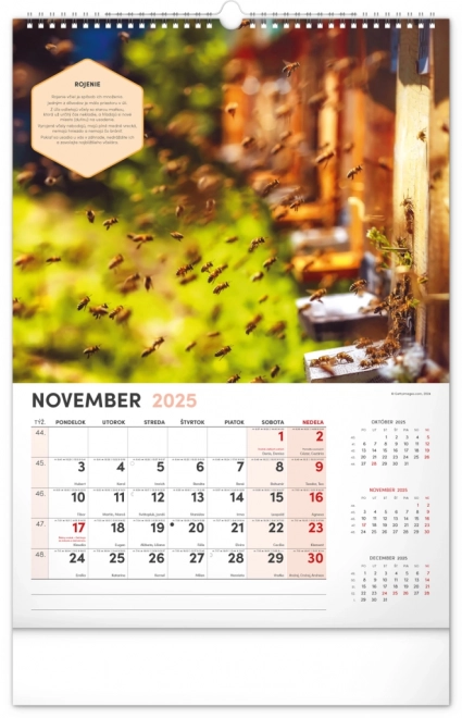 Wall Beekeeper Calendar 2025