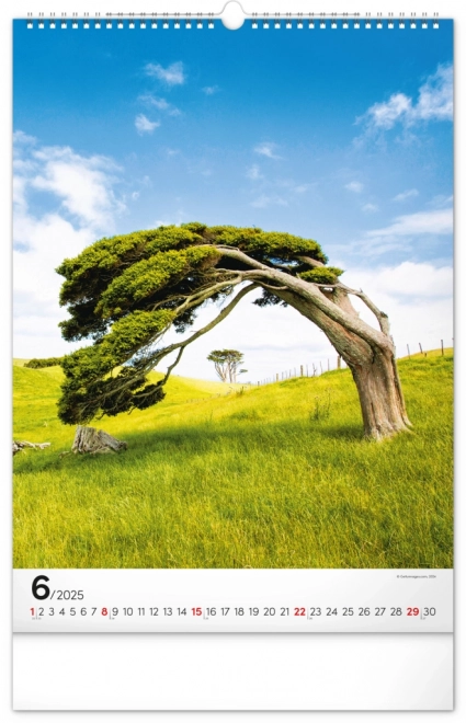 Wall Calendar Trees 2025