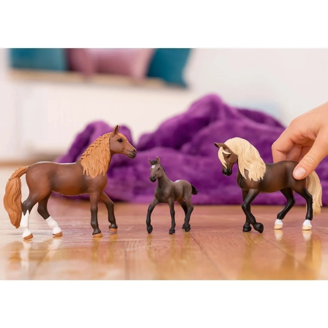 Parte del mondo HORSE CLUB