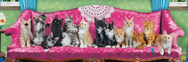 Eurographics panoramic puzzle cats on cat sofa