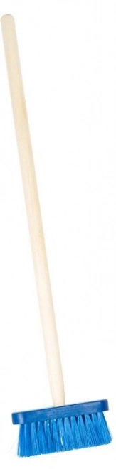 Blue Children's Sweeping Brush