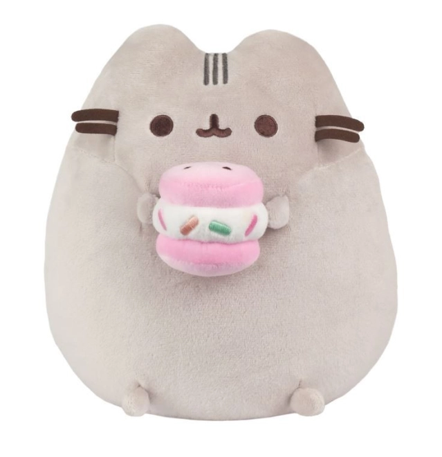 Cute Pusheen design with a macaron