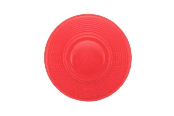 Flying Disc Plastic 23cm Assorted Colors