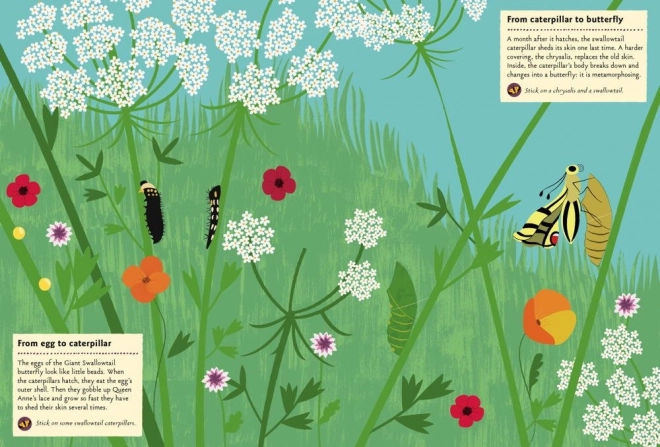 My Nature Activity Book with Stickers - Butterflies of the World