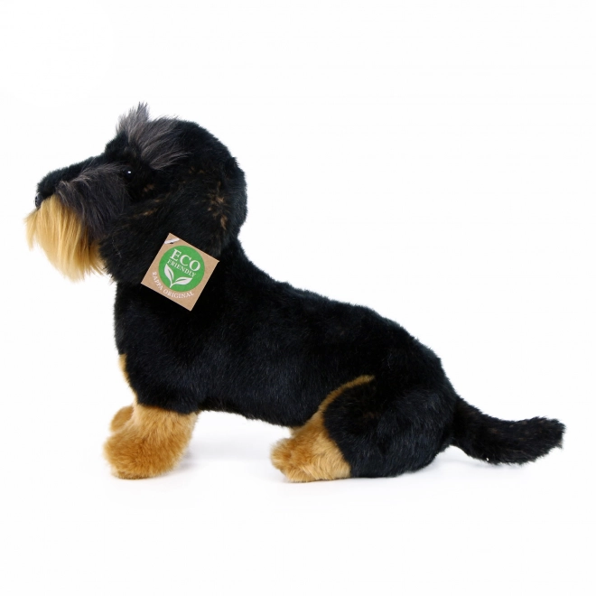 Plush Wire-haired Dachshund Sitting 30 cm