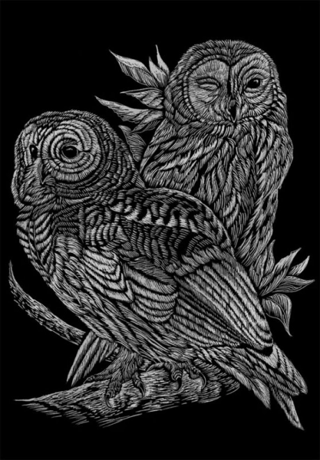 Wild Animals Of North America Scratch Art Block