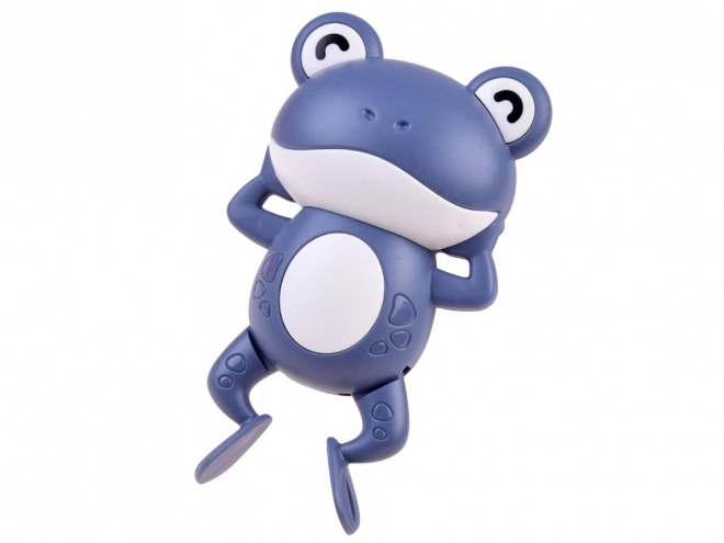 Wind-Up Floating Bath Frog Toy