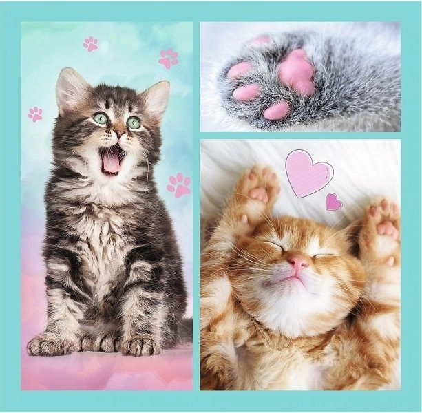 Sweet Animal Kittens Jigsaw Puzzle