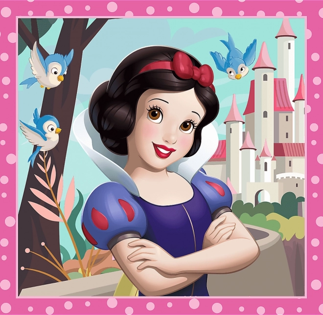 Disney Princess Puzzles Beautiful Flowers