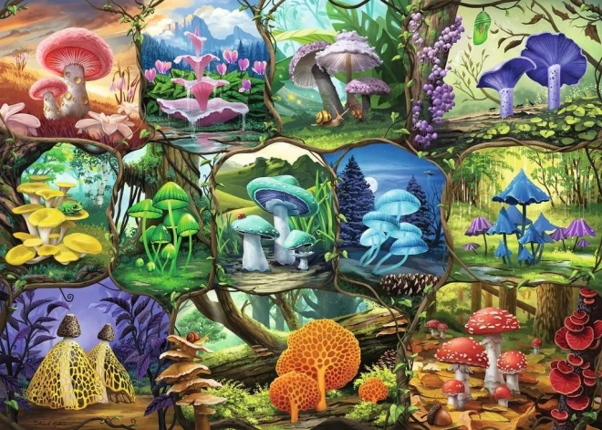 Beautiful Mushrooms Puzzle 1000 Pieces