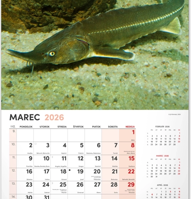 Wall Calendar Fishing 2026