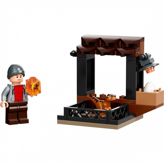 Dinosaur Marketplace Set