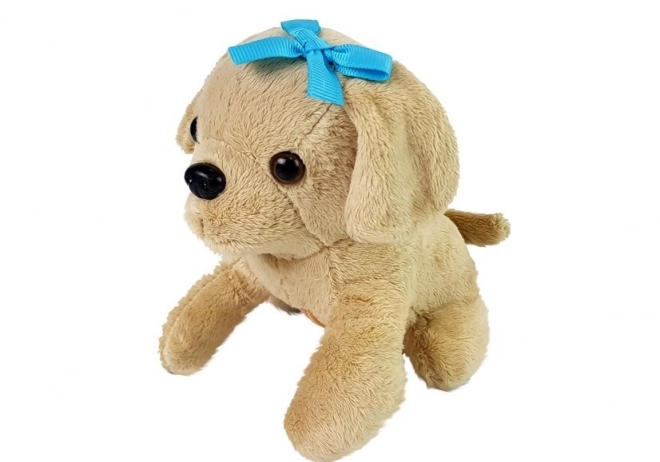 Veterinarian Set with Plush Dog and Carrier
