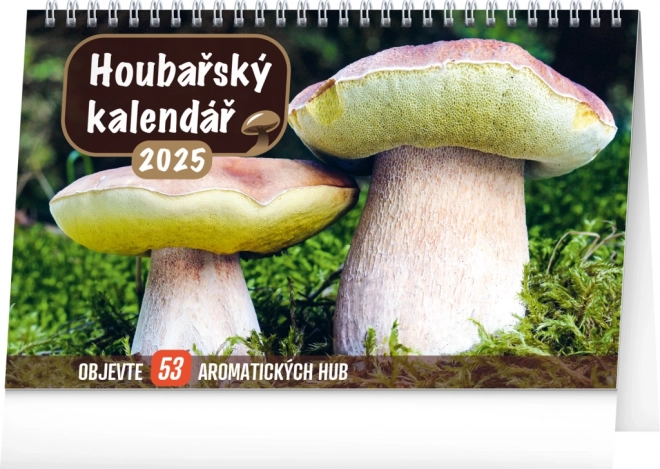 Mushroom Enthusiast Desk Calendar 2025