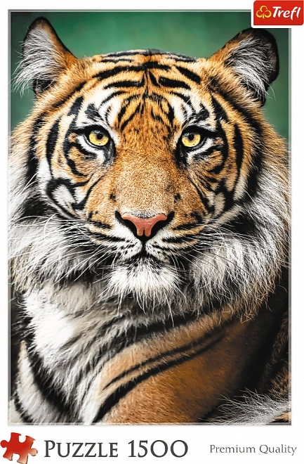 Tiger Portrait Puzzle 1500 Pieces