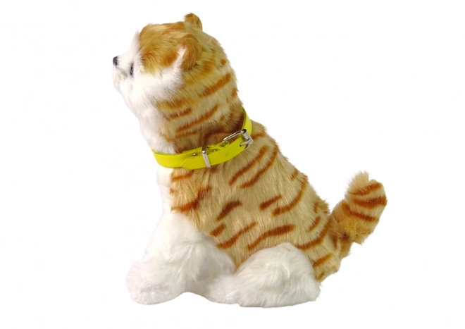 Interactive Plush Cat Toy