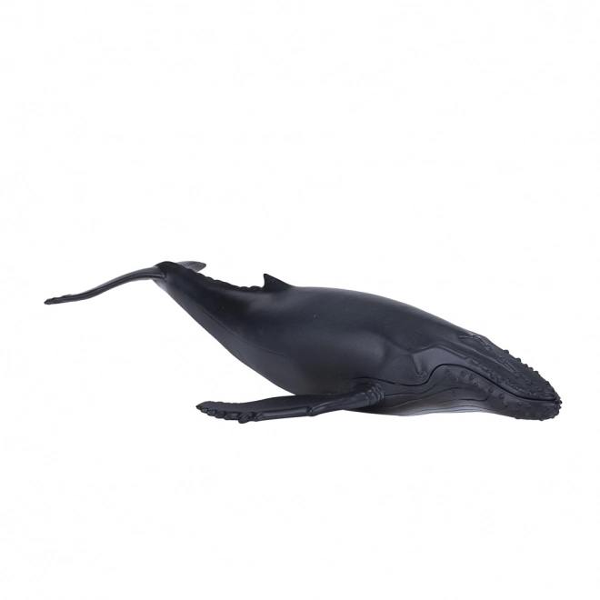 Realistic Humpback Whale Figurine