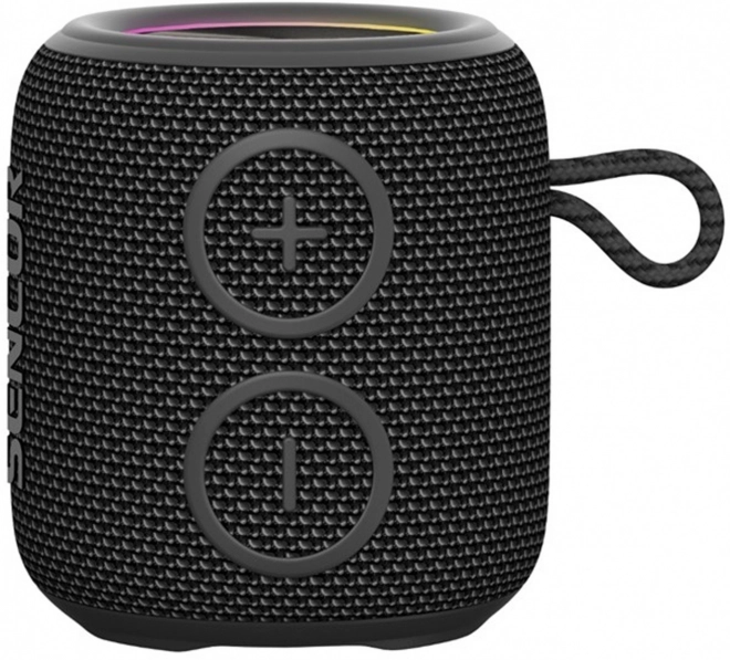 True Wireless Stereo (TWS)