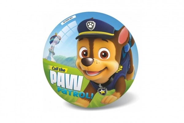 Paw Patrol Ball