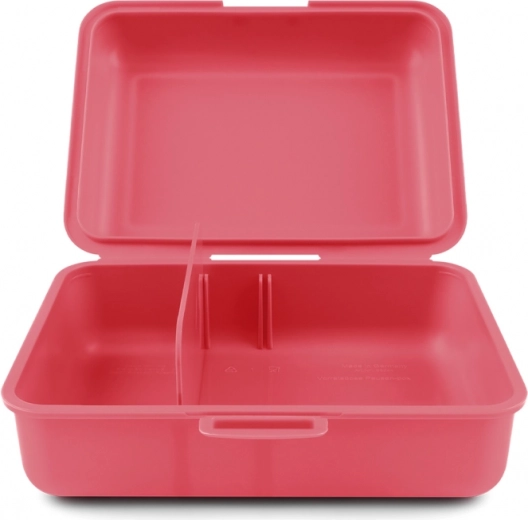 Pratica divisoria interna