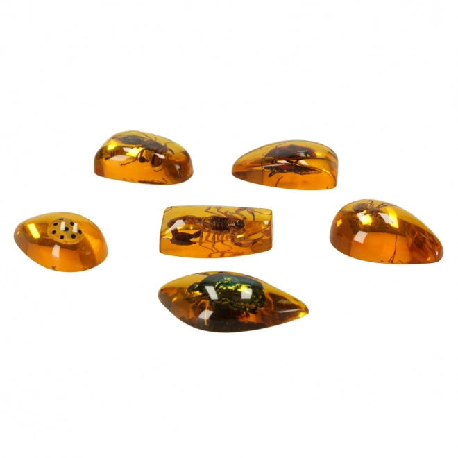 Educational Archaeological Excavation Set - Insects in Amber