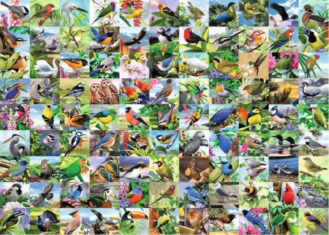 Ravensburger Puzzle 99 Enchanting Birds