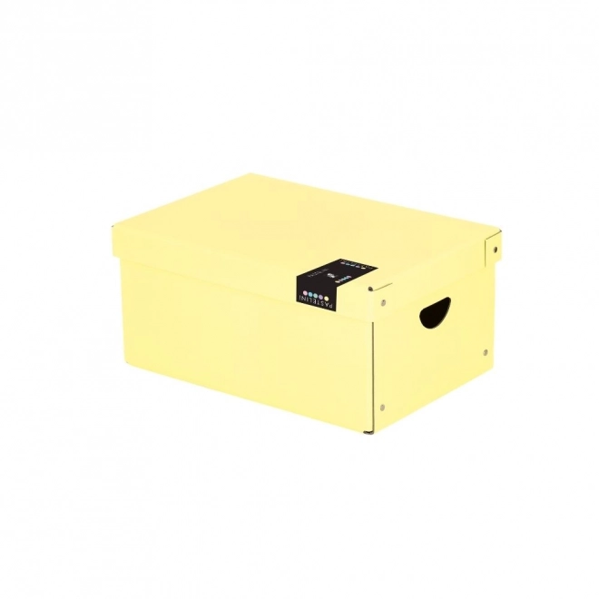 Large Laminated Storage Box Yellow