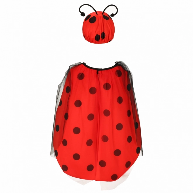 Children's Ladybug Costume