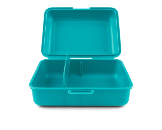 Baagl Lunch Box Turquoise Spirit