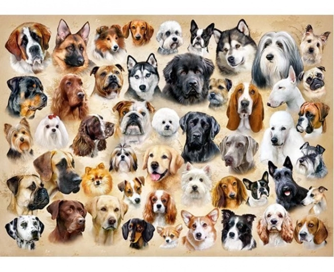 Collage with Dogs Puzzle