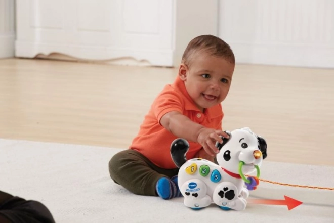 Vtech Talking Dalmatian Toy